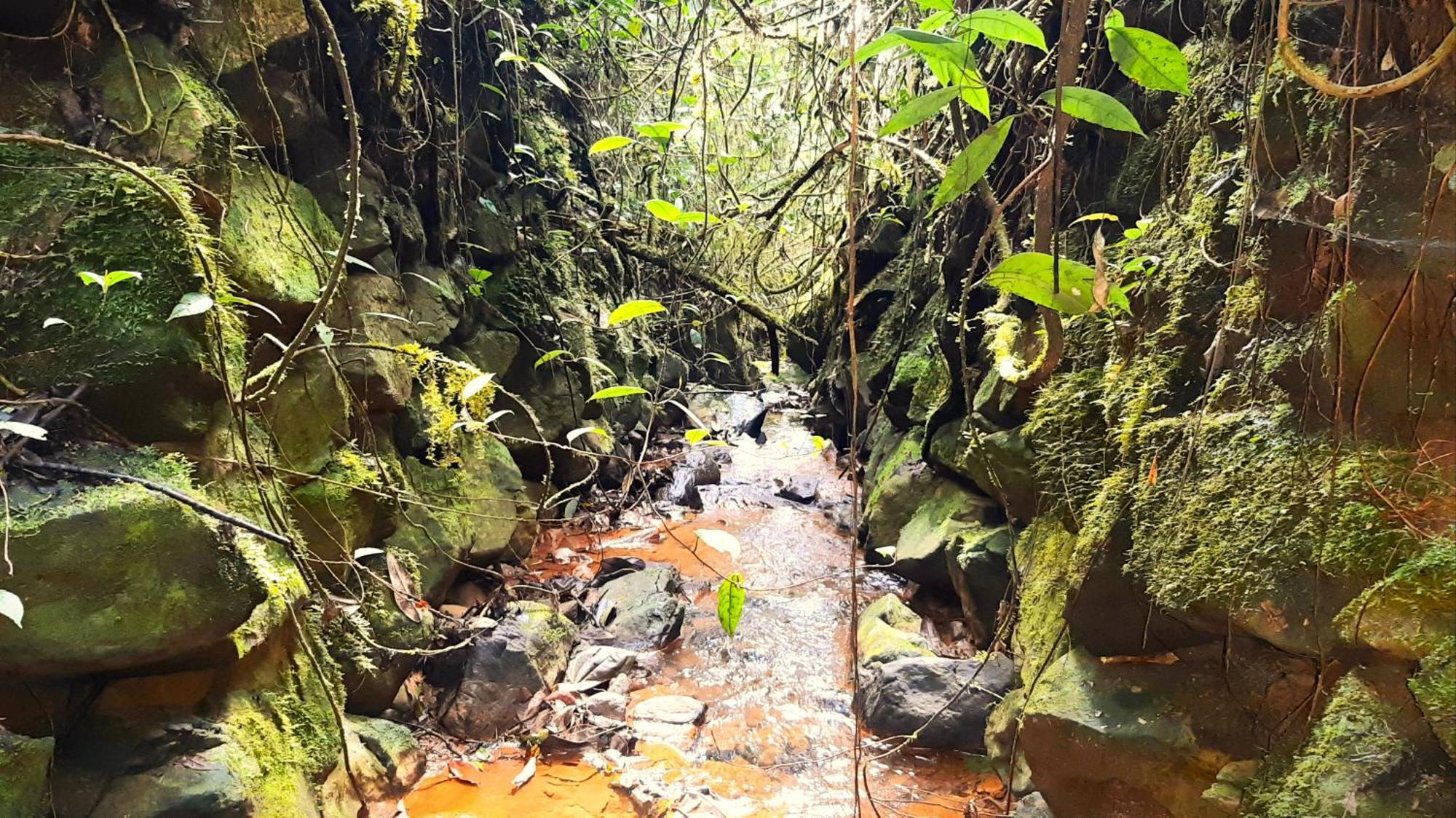 Encanto Minicasitas En Medio De La Naturaleza Santa Elena  Exterior foto