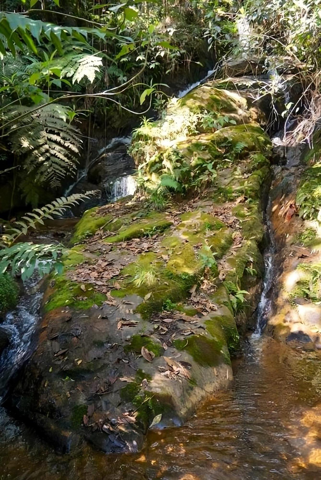 Encanto Minicasitas En Medio De La Naturaleza Santa Elena  Exterior foto