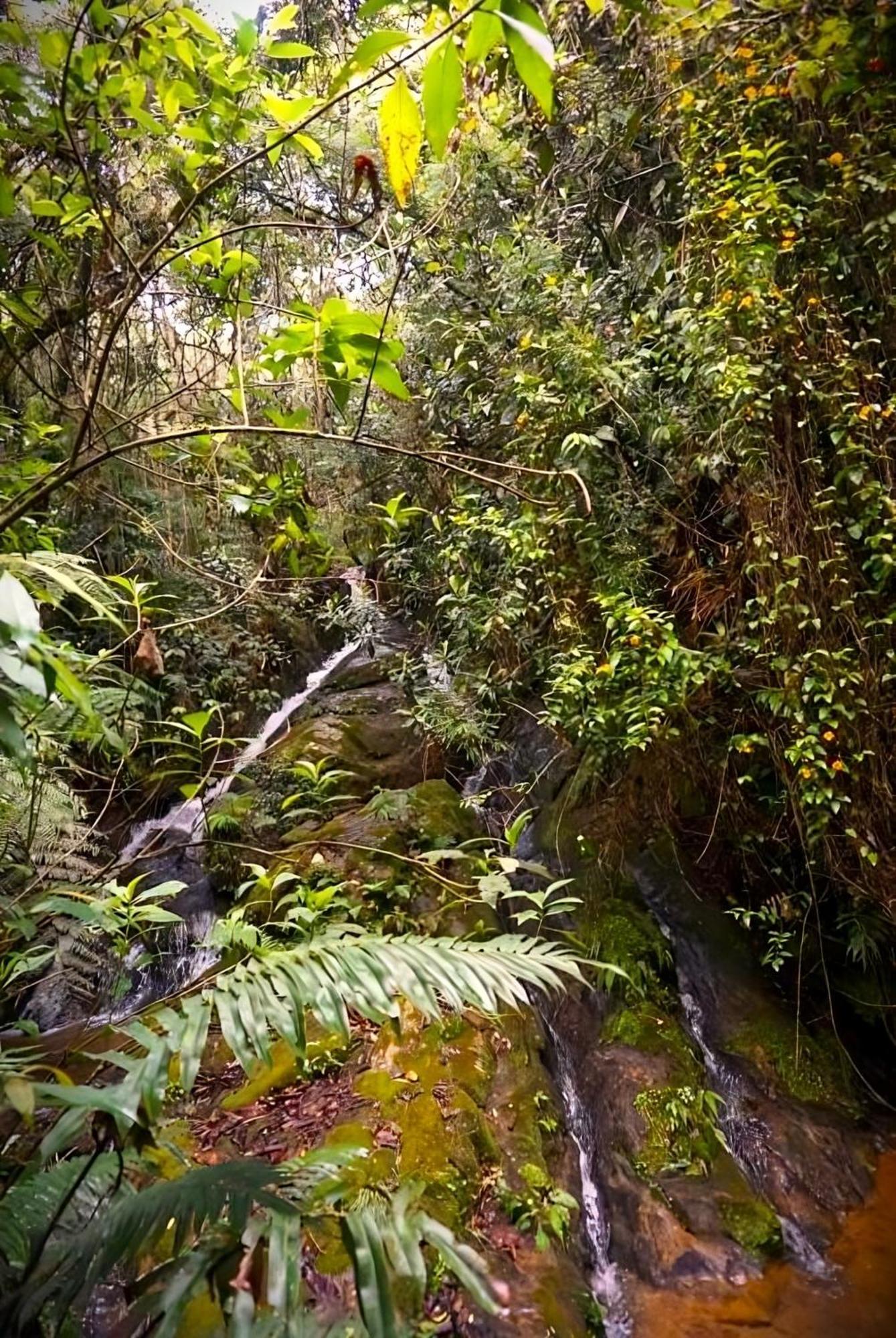 Encanto Minicasitas En Medio De La Naturaleza Santa Elena  Exterior foto