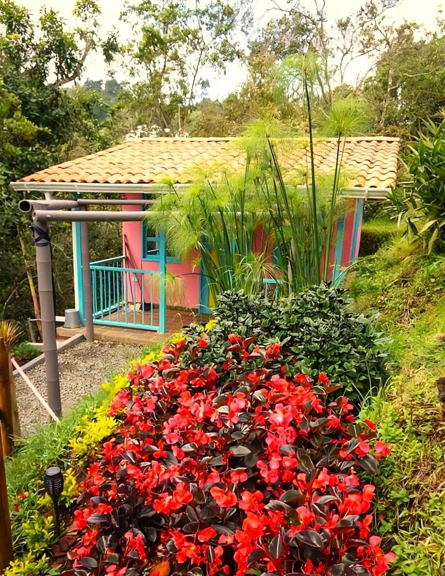 Encanto Minicasitas En Medio De La Naturaleza Santa Elena  Exterior foto